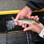 不動野にて