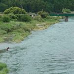 柏野大橋