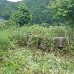 なぜこんなものが・・・