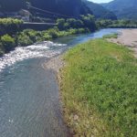 柏野大橋上流