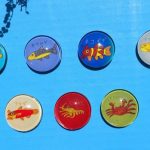 大内山川の生き物マグネット