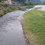 柏野大橋上流