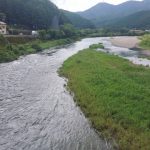 柏野大橋上流