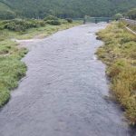 柏野大橋下流