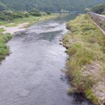 柏野大橋下流