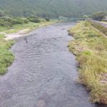 柏野大橋下流